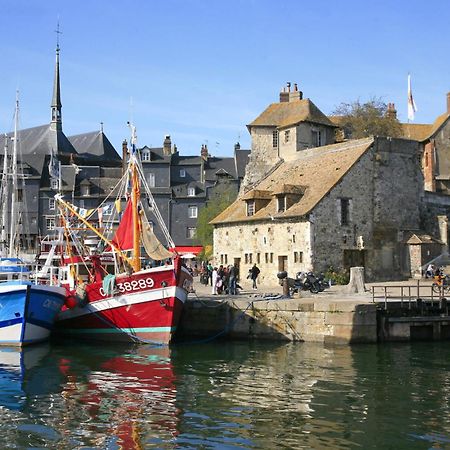 Studio Meuble Jacynthe Proche Le Havre - Etretat - Honfleur Saint-Romain-de-Colbosc 外观 照片